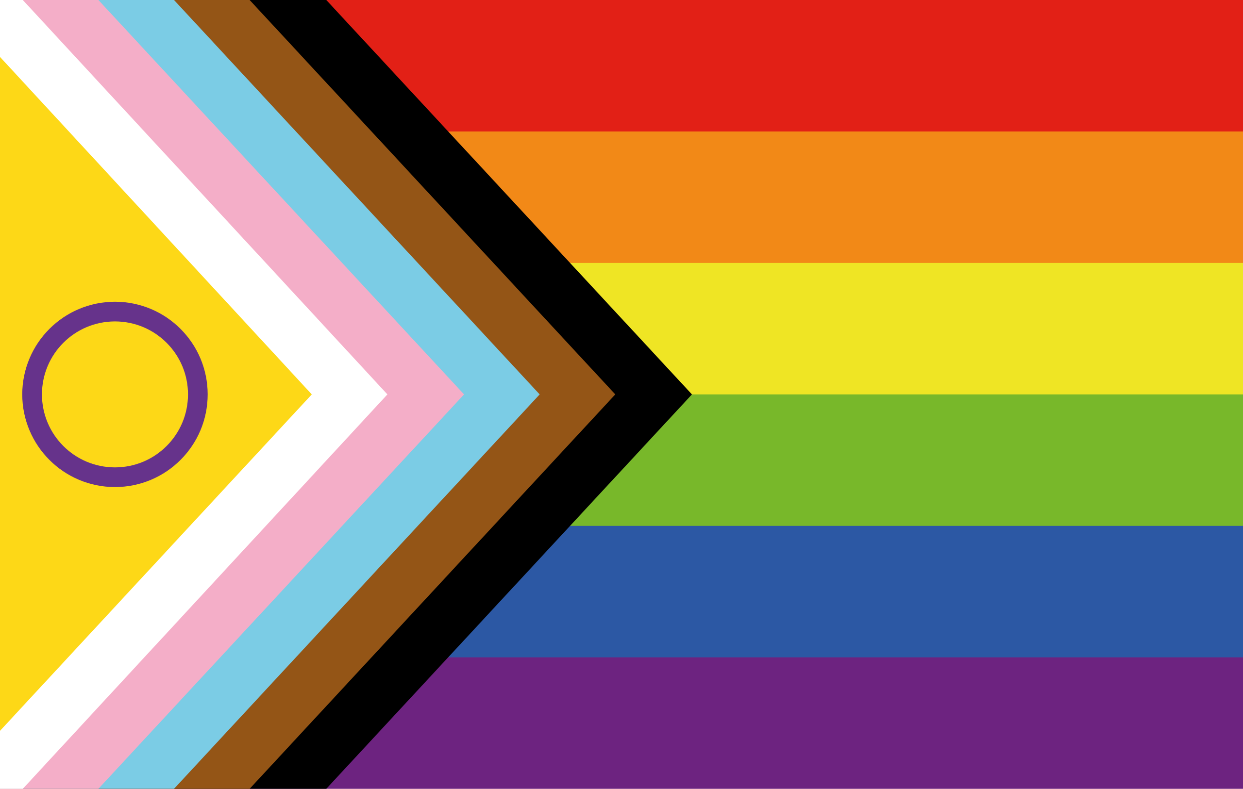 Inclusion Flags